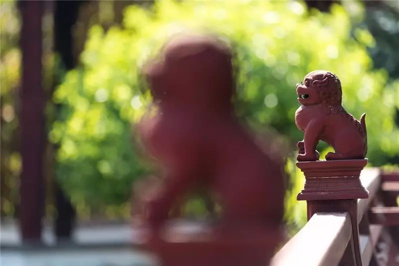 在魔都有十几套房什么体验,上海有什么私人园林