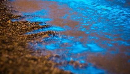 雨少了,水咸了,养虾的你必须注意水体发光,及时处理