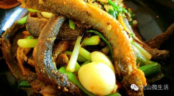 光山家乡介绍,介绍光山的美景