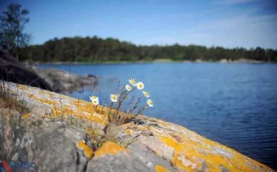 「原创同盟」国庆赴俄罗斯旅游可能是比以前便宜了，但有不少中国人到了俄罗斯却被坑得很惨！