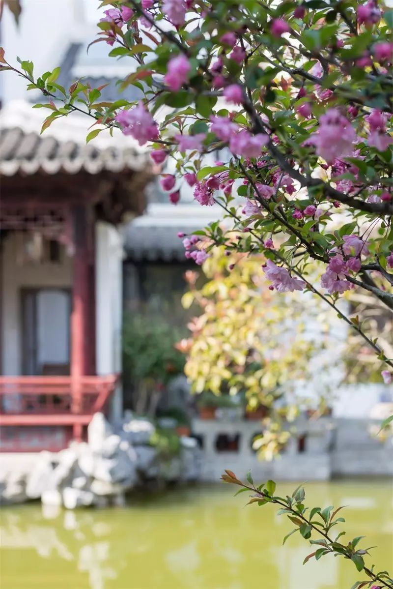 在魔都有十几套房什么体验,上海有什么私人园林