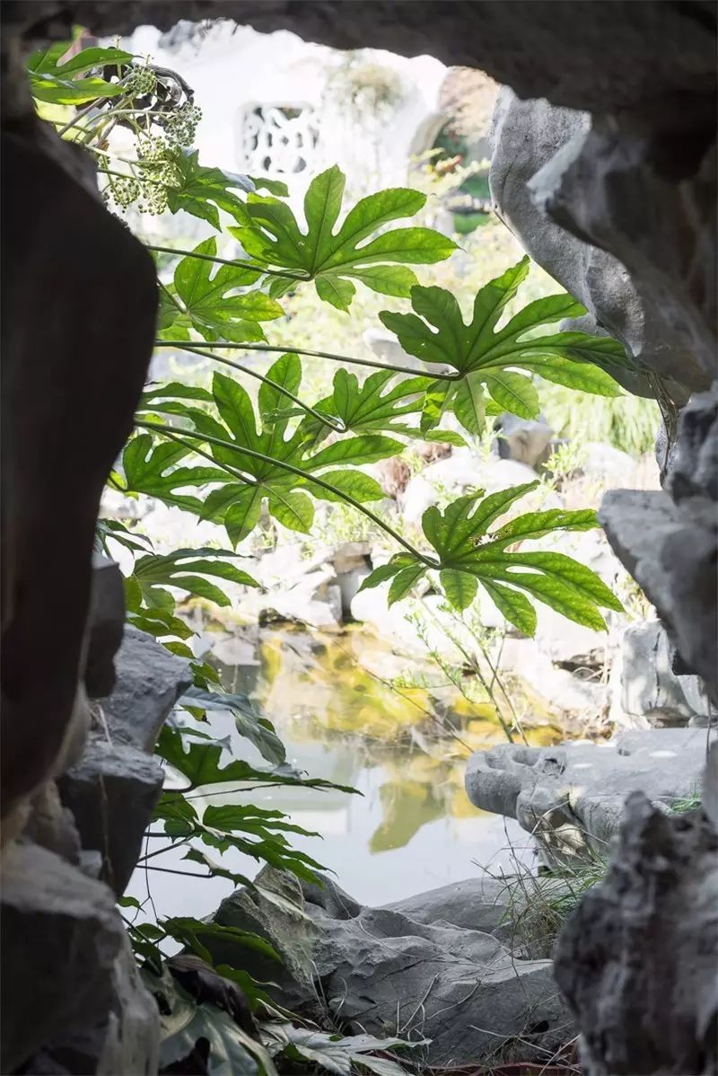 在魔都有十几套房什么体验,上海有什么私人园林