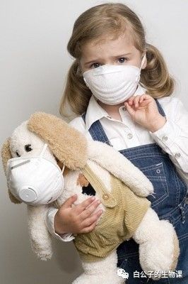 狗狗养护知识如何防止对狗狗过敏,对狗狗过敏的症状及治疗方法