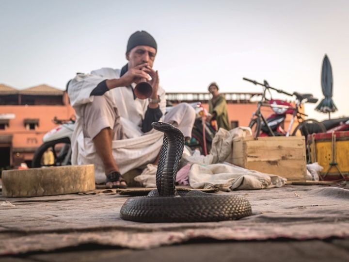 摩洛哥旅游特辑,topgear摩洛哥特辑