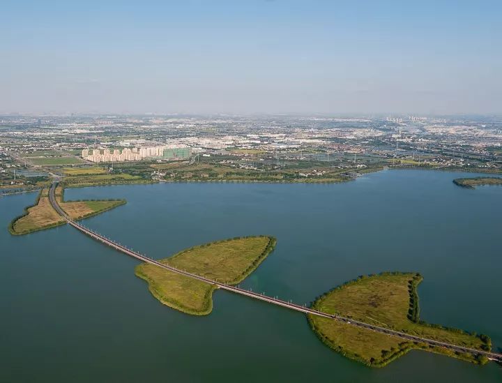 「砥砺奋进的五年·漕湖街道」十里漕湖，变化万千