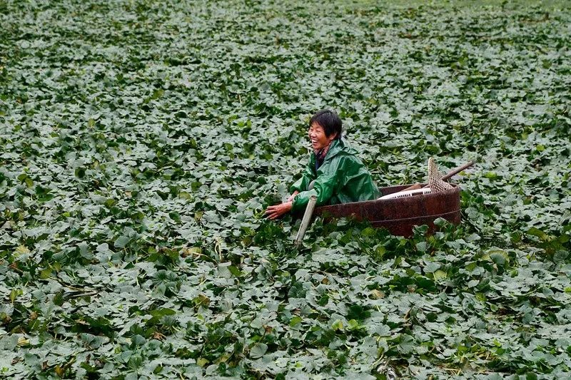 「砥砺奋进的五年·漕湖街道」十里漕湖，变化万千