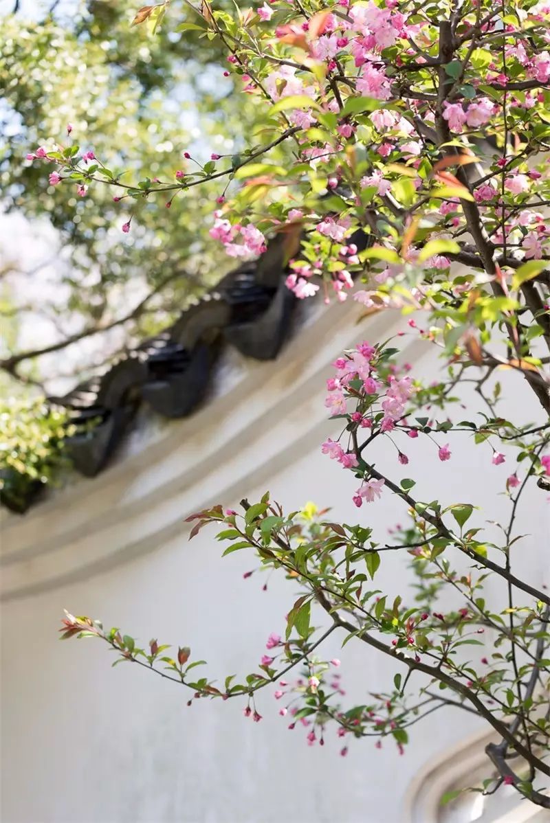 在魔都有十几套房什么体验,上海有什么私人园林