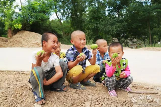 天水市委常委、副市长李晓东：我家门前清水流，漫山遍野鲜核桃！