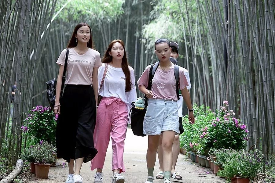 让社交障碍者的尴尬症都犯了,为什么说这档节目正在进行一场社会实验?