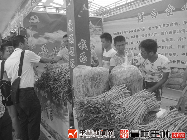 博白县乡村农业园,博白农业示范区