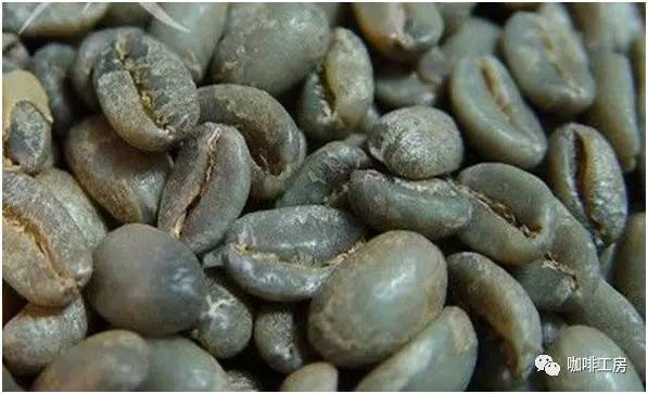 「咖啡常识」咖啡师学习培训基础知识大全