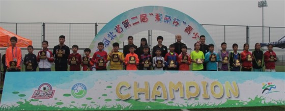 冀萌杯比赛,河北省冀萌杯