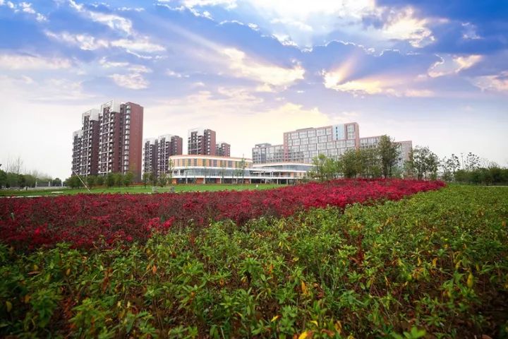 「砥砺奋进的五年·漕湖街道」十里漕湖，变化万千