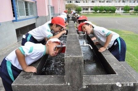 揭秘日本人长寿的真实原因,日本网民谈身为日本人的感受