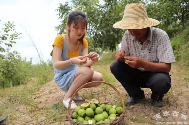 天水市委常委、副市长李晓东：我家门前清水流，漫山遍野鲜核桃！