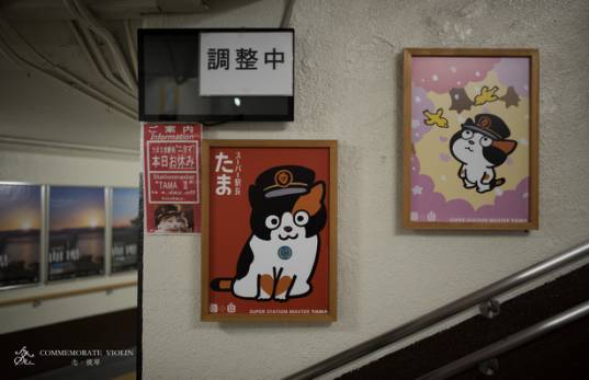 中日双语书推荐,中日双语小说带假名