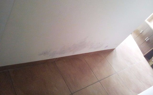 雨季屋里壁纸发霉了怎么办,墙面壁纸透寒有霉斑怎么办