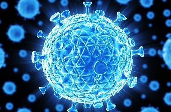 t细胞活化的指标用什么检测,t细胞检验