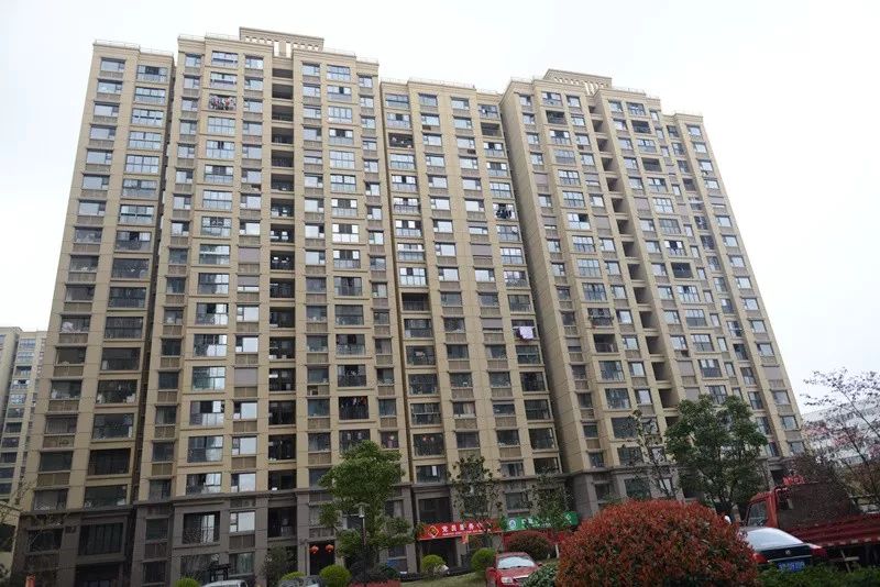 「砥砺奋进的五年·漕湖街道」十里漕湖，变化万千