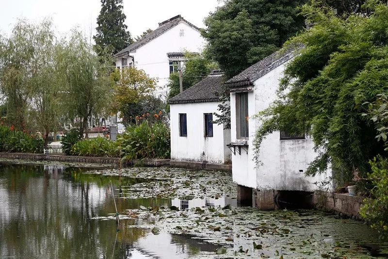 「砥砺奋进的五年·漕湖街道」十里漕湖，变化万千