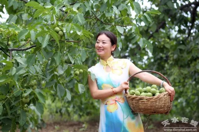 天水市委常委、副市长李晓东：我家门前清水流，漫山遍野鲜核桃！