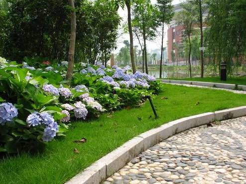 福州一中是全国百强吗,福州一中全国百强校