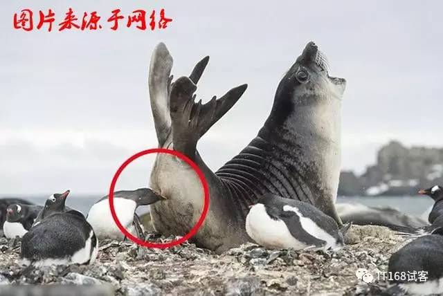 热门共享单车大对比谁才是好“座驾”