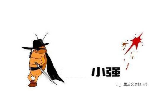 灭蟑螂硼酸和土豆泥的比例,硼酸做土豆泥真的能杀蟑螂吗