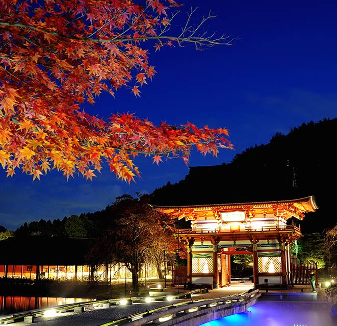 大阪箕面一日游,大阪箕面公园游玩