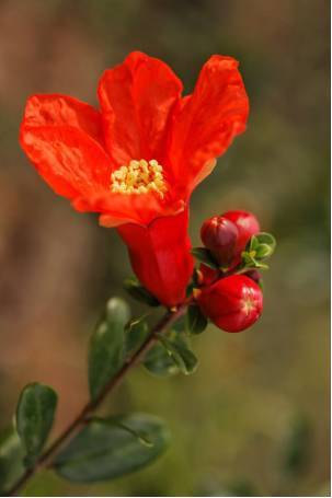 会理：温柔时光的千年古城，那份淡然的岁月安好！