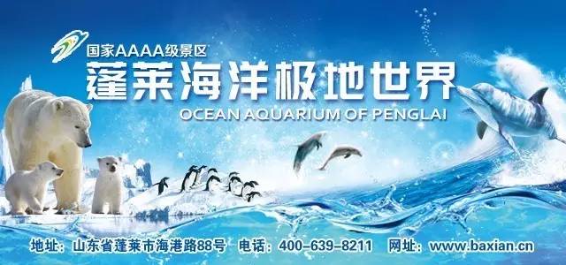 出,zi门,tao旅,ku游,chi到底图个啥?还不是为了他……