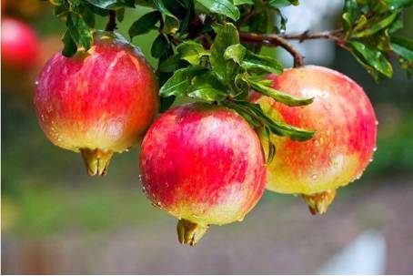 会理：温柔时光的千年古城，那份淡然的岁月安好！