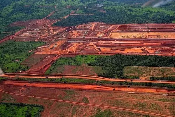 巨嘴鸟的嘴巴有什么用,巨嘴鸟为什么嘴这么大