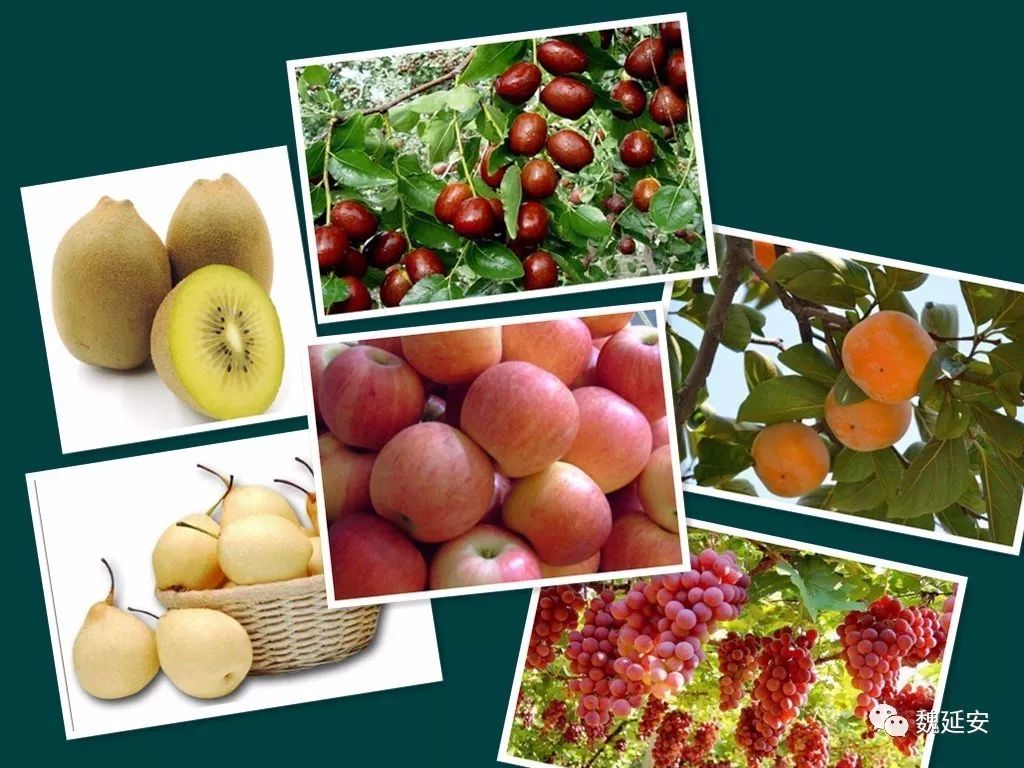 魏延安谈农村生活,魏延安