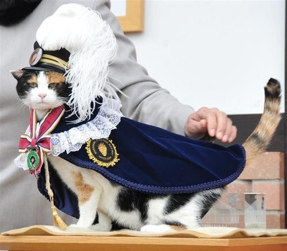 中日双语书推荐,中日双语小说带假名