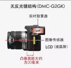 微单单反到底哪个更适合摄影新手,24款微单和单反相机推荐