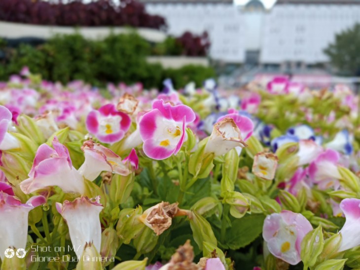 金立m7体验评测,金立手机m7好吗