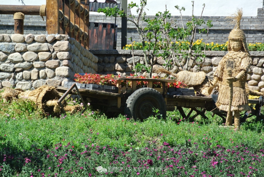 秦皇岛市海港区怎么成了“朝颜”？