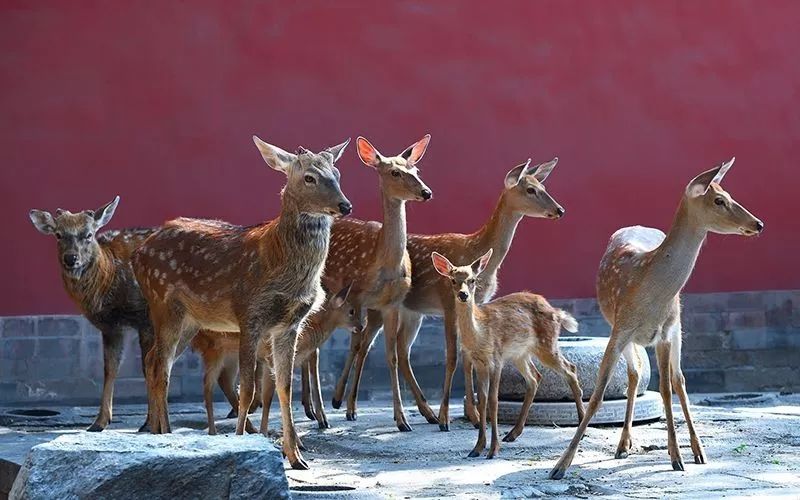 周末看展指南：这是一个治愈假期综合症的展览周