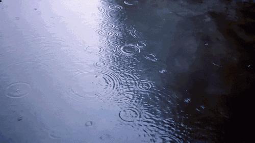 雨季屋里壁纸发霉了怎么办,墙面壁纸透寒有霉斑怎么办