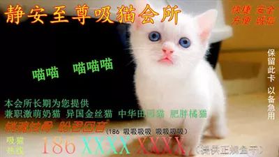 囧吐槽：社会我哈哥，狗怂话还多