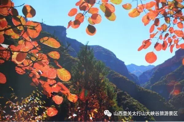 深秋太行山大峡谷风景区,安阳市太行山大峡谷冬景