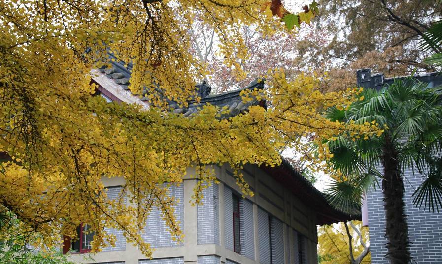 南京十二中考入清华,南京市十二中百年校庆同学录