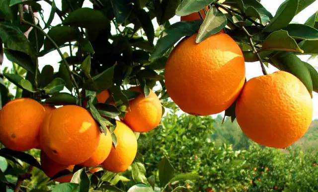 26个字母,让你更加了解赣州!爱上赣州!