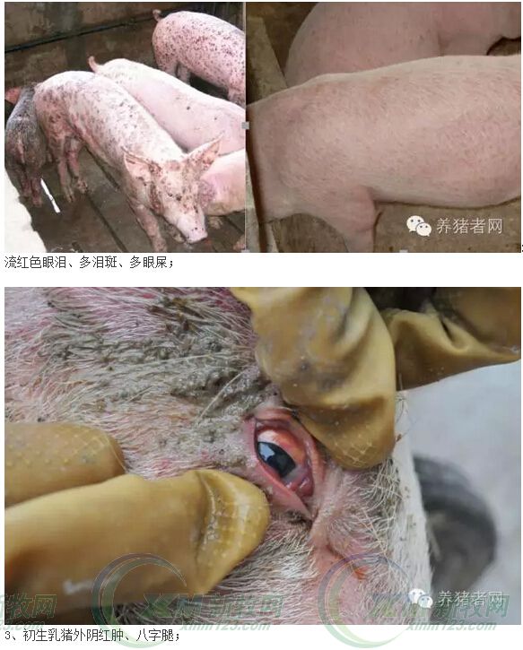 霉菌毒素有必要用脱霉剂吗,霉菌毒素用什么治