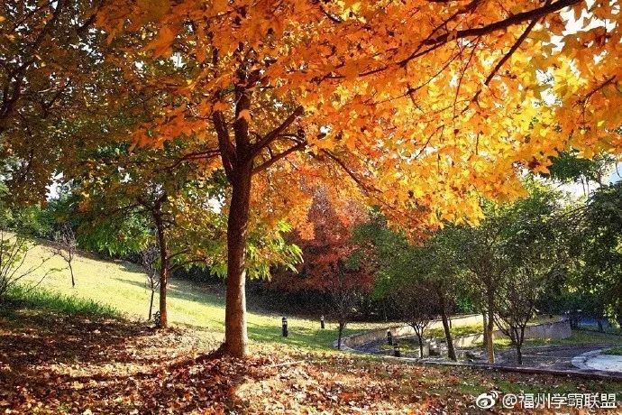 福州一中是全国百强吗,福州一中全国百强校