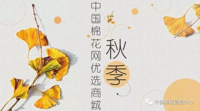 e棉仓和e棉网一样吗,e棉仓最新资讯