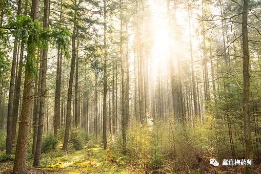 儿童维生素d补充剂量最新标准,五个月宝宝需要补充维生素d还是ad