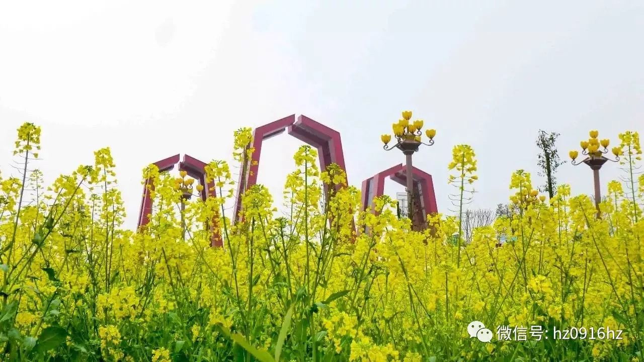 外地人在汉中生活感受,外地人眼中的汉中