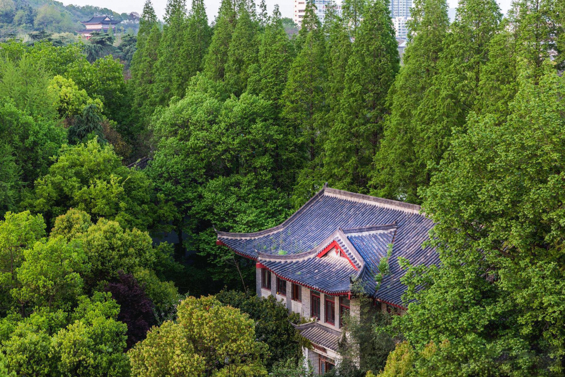 南京十二中考入清华,南京市十二中百年校庆同学录